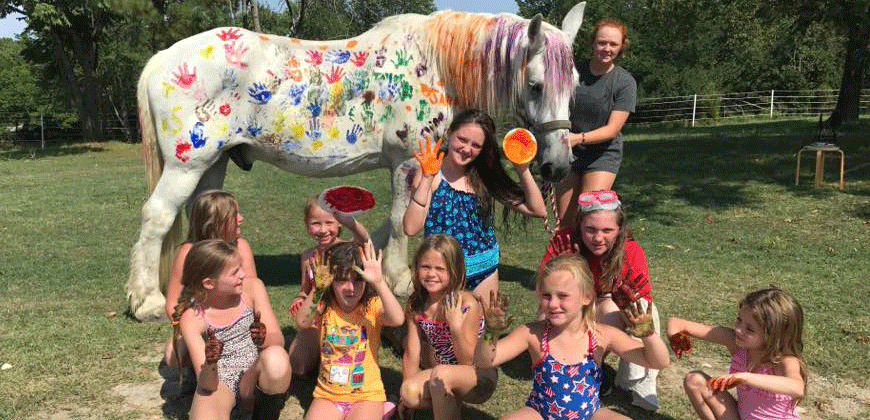 Heavenly Halo Horse Ranch