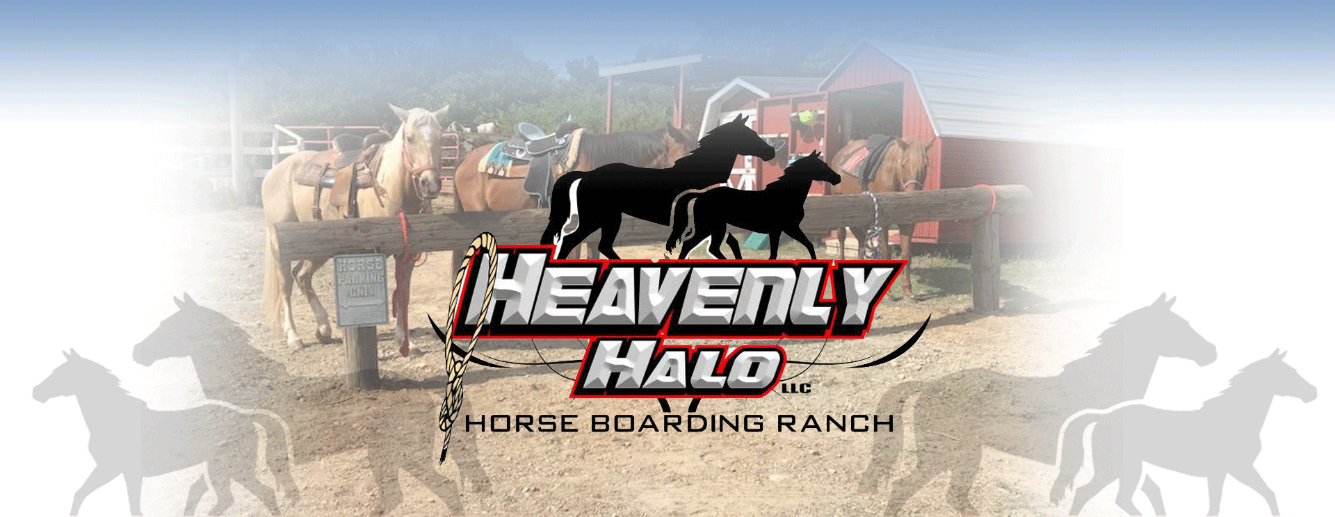 Heavenly Halo Horse Ranch